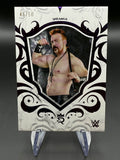 Sheamus 2025 WWE Topps Royalty Purple /50